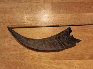 Goat Polished Horn Natural Finished Eco-Friendly Rustic Halloween New High Quality for Decoration & Craft - Product Image 2