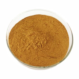 Extracto de Hoja de Menta Prima Premium en Polvo 10:1, Extracto Herbal Natural de Mentha Piperita para Té Herbal y Bienestar Digestivo - Product Image 1
