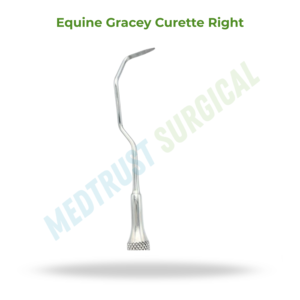 Cureta Gracey Equina Derecha de 17 Pulgadas (43 cm), Instrumento Dental Veterinario para la Limpieza de Dientes de Caballos - Product Image 2