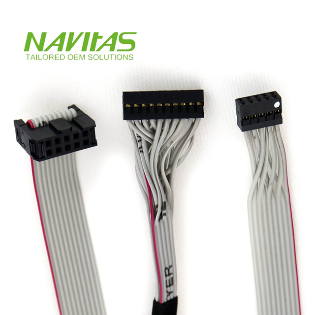 Custom Dupont Female 10P 2mm Pitch IDC Ribbon Cable Assembly 20PC Wire Harness OEM ODM RoHS Compliant 28AWG