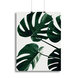 Monstera Natural 43 Wood <b>Frame</b> Canvas <b>Print</b> or Poster Durable and Stylish Home Decor - Product Image 1