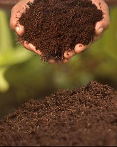Cocopeat naturel de noix de coco pour l'agriculture hydroponique, les serres, les pépinières et l'aménagement paysager - Product Image 3