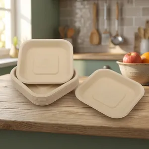 Plateau de service carré jetable de 5 pouces en pulpe moulée de qualité supérieure, vaisselle écologique compostable pour usage quotidien - Product Image 4