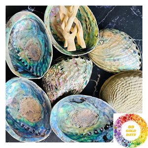 Iridescent <b>Abalone</b> <b>Shell</b> Material for Jewelry Making Handmade Accessories Pendant Craft Art and Creative Design - Product Image 4