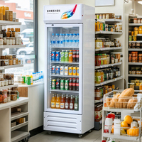 Réfrigérateur commercial vertical pour boissons avec porte vitrée pour magasin de proximité