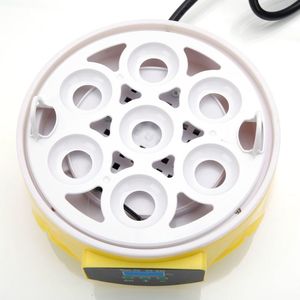 Incubatrice Elettrica Mini per 7 Uova, Pratico Riscaldatore per Uova per la Schiusa di Pulcini - Product Image 5