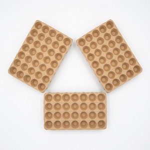 Fruit Packaging <b>Eco</b>-Friendly Anti Break Compostable Molded Pulp Tray Fresh Fruit Tray From Vietnam Manufacturer Paper Boxes - Product Image 4