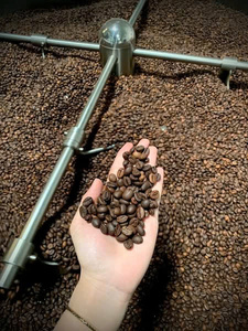 WHOLESALE SINGLE ORIGIN ARABICA <b>COFFEE</b> | VIETNAMESE LIGHT & MEDIUM ROASTED | TOP QUALITY SPECIALTY <b>BEANS</b> - Product Image 3