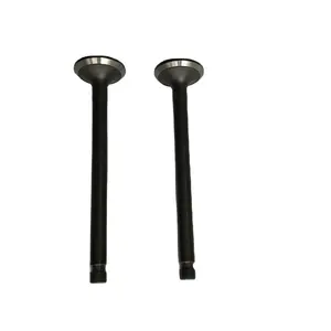 0948.A3 0949.A3 Inlet & Exhaust Engine Valve fits for Citroen C5 2.0 HDI 16V Eng. RHR(DW10BTED4) 1997 cc. Engine spare parts