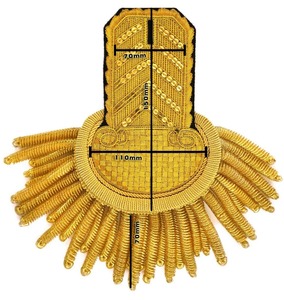 Parche Bordado en Oro Personalizado con Flecos, Aplique de Tela de 70x150mm para Uniformes, Prendas, Chaquetas y Ropa - Product Image 1