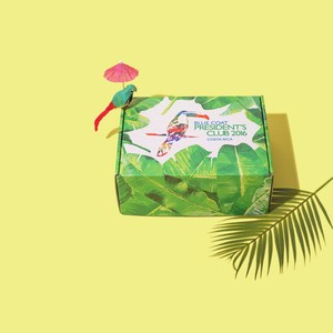 กล่องโชว์สินค้ากันน้ำแบบพรีเมียมสั่งทำพิเศษสำหรับแชมพูและน้ำหอม  พร้อมเคลือบลามิเนตด้าน  บุกระดาษลูกฟูกสีเหลือง  กล่องไปรษณีย์แบบ Stashbox - Product Image 2