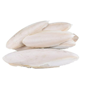 BEST SELLER BLUE LOTUS Os de Seiche Pur Naturel pour Soins du Beak, Source Durable de Calcium pour Oiseaux et Reptiles 1,0 kg - Product Image 1