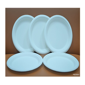 Assiettes jetables écologiques en bagasse de canne à sucre biodégradable et compostable, très résistantes, blanches, 10 pouces, lot de 100 pour fêtes - Product Image 3