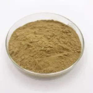 Extracto Seco de Brahmi (Bacopa Monnieri) de Grado Alimenticio, Cultivo Silvestre, 20% 40% Bacosides, Potente, Color Marrón Claro - Product Image 4