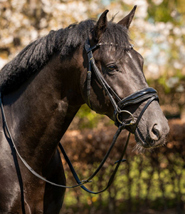 Brida de cuero premium Horsekraft HK-BR230, la más vendida, con cabezada anatómica suavemente acolchada, cristales y narquiler transpirable. - Product Image 4