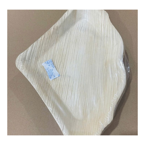Assiette en feuille de palmier d'arec 100% naturelle, biodégradable, non toxique, légère, vaisselle écologique, alternative durable - Product Image 1