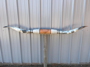 Cuerno de vaca hecho montado decoración de pared búfaloCuerno de vaca montado accesorios de decoración del hogar de lujo OxHorn decoración de pared montado y precio bajo FWE - Product Image 5