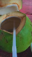 Usa Standaard Hele Verse Groene Malse Kokosnoot Gewicht Tot 1000 Gram Vietnamese Oorsprong Warm Seizoen Goedkope Prijs