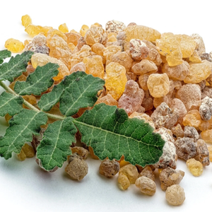 Extracto Natural de Boswellia Serrata en Polvo, Ingrediente Herbal de Alta Pureza, Suministro al por Mayor para Exportación - Product Image 6