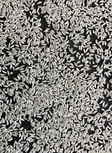 [Keith Vilaconic] Arroz Blanco Vietnamita de Grano Largo Seco, Calidad de Exportación Seleccionada, 100% Natural, 24 Meses de Vida Útil, Estable - Product Image 3