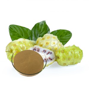 Extracto de Noni Morinda Citrifolia Premium 10:1, Extracto Natural de Fruta de Noni en Polvo para Té, Smoothies y Jugos - Product Image 4