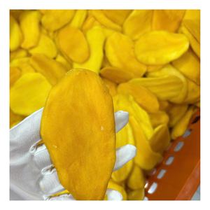 Premium 2026 Soft Dried Mango for Food Processing and Snack Industry with Large Volume Supply - Product Image 1