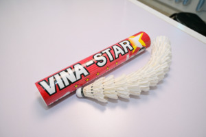 Vina-Star Bulk Training Grade Shuttlecock with Class D Duck Feather and Durable Wood Cork for Club School Sport Practice - Product Image 2