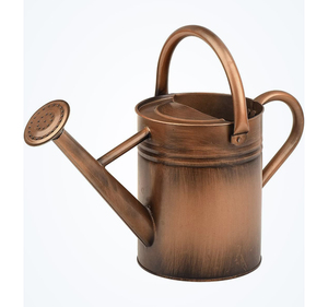 Large Capacity Antique Design Hand Painted Most Popular Water <b>Cane</b> Minimalist Home and <b>Garden</b> Decorative Metal Water Can - Product Image 6