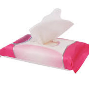 Toallitas Húmedas Limpiadoras, No Tejidas, Ecológicas, Antibacterianas, Vietnam, 10 Piezas, Fragancia Natural, Extra Suaves, Envueltas Individualmente, para Adultos - Product Image 1