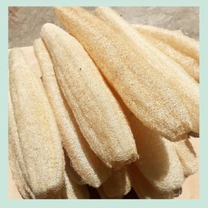 Éponge corporelle en loofah biologique, accessoire de bain exfoliant naturel, solution zéro déchet - Product Image 2
