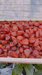 Fresas Deshidratadas Suaves y Masticables, Diseñadas para una Larga Vida Útil, para Líneas de Venta Minorista y Mercados Mayoristas - Product Image 6