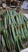 Daun Bambu Vietnam Bahan Baku Ramah Lingkungan Ukuran Besar Produsen HNIECO Umur Simpan 12 Bulan Penyimpanan Kering Buatan Vietnam
