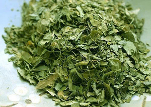 Té de hierbas crudo con 24 meses de duración, té premium 100% de hoja de moringa de Vietnam, moringa seca envasada al vacío. - Product Image 3