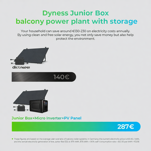Sistema Solar para Balcón Dyness JunIor con Almacenamiento, Batería Lifepo4 de 1.6kwh y 8000 Ciclos, Microinversor PV HUB de 800w, Premio IF - Product Image 4