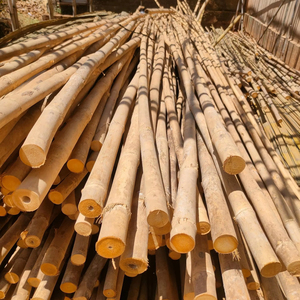 High Strength <b>Bamboo</b> Poles Supplier from Vietnam with Custom Sizes for Global Wholesale Buyers - Product Image 1