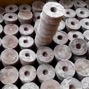 Ladrillo de Fibra de Coco de Alta Calidad de Fábrica Vietnamita, Medio de Cultivo Natural para Viveros, Hidroponía y Agricultura - Product Image 1