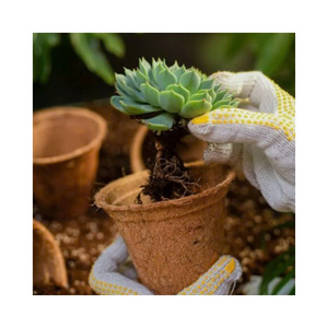Pots en fibre de coco EcoNest : solution durable pour semis et pépinières - Product Image 1