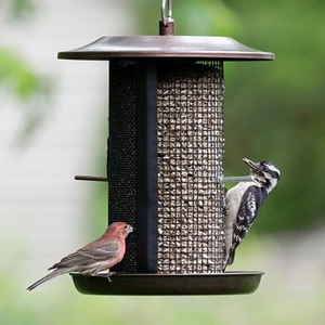 ที่ให้อาหารนกแบบแขวนทำจากโลหะทองแดงขัดเงา ยี่ห้อ Audubon รุ่น Oriole ดีไซน์ร่มทองแดง - Product Image 5