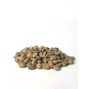 Café en grains ROBUSTA S18 WP du Vietnam - Product Image 3