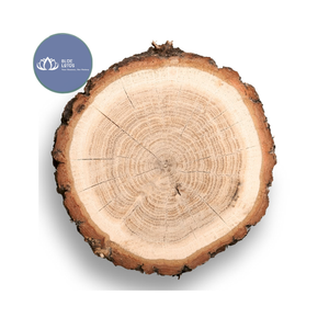 Los Más Vendidos: Posavasos de Madera Sostenible Glory con Asa, Forma Pulida, para Decoración de Mesa de Comedor - Product Image 1