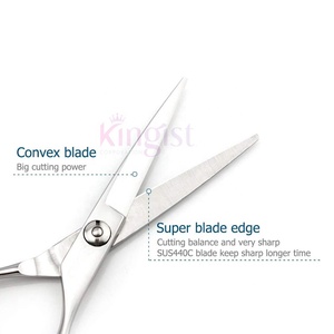 Professionnel de haute qualité en acier inoxydable ciseaux de coiffeur noir Plasma Salon outil de coupe de cheveux outil de beauté pointu - Product Image 4