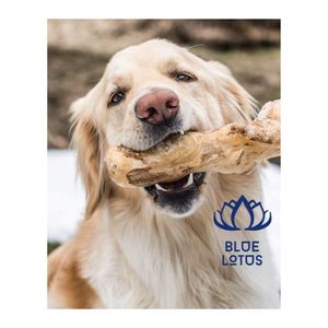 พร้อมส่ง 2026 ของเล่นแท่งไม้กาแฟสำหรับสุนัข ช่วยทำความสะอาดฟันและเสริมสร้างกิจกรรมการเล่น - Product Image 1