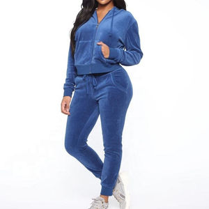 Wholesale Custom Women High Quality Velvet <b>Velour</b> Hooded Breathable Winter Streetwear <b>Tracksuits</b> 100% Cotton Custom Design - Product Image 2