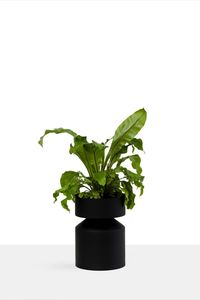 Maceta moderna de hierro negro acanalado para plantas verdes de interior, diseño minimalista, decoración para el hogar y hoteles - Product Image 2