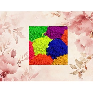 Polvo de Color Holi al por Mayor, No Tóxico, Brillante, para Festivales, Carreras de Colores, Revelación de Género, Exportación OEM - Product Image 3
