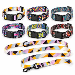 Collier pour chien réglable en polyester imprimé cèdre doré avec laisse assortie de 150 cm, 6 motifs, OEM ODM - Product Image 1
