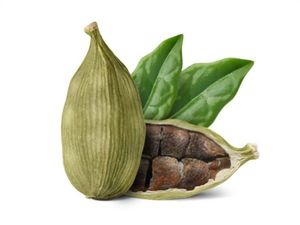 Vainas de Cardamomo Verde Premium de 67 mm, Tamaño Pequeño, Especia Aromática Natural Elaichi, Buena Calidad, APSS Tradesphere, 2 Años de Duración - Product Image 4