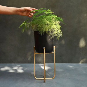 Jardinière Métallique avec Base Équilibrée en Fil Métallique Noir, Fournitures d'Usine, Jardinières en Métal, Pot en Fer Doré pour Fleurs, Nouvelle Arrivée - Product Image 6
