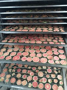 Goyave séchée douce | 100% fruits biologiques frais | Collation saine et ingrédient de thé du Vietnam - Product Image 5