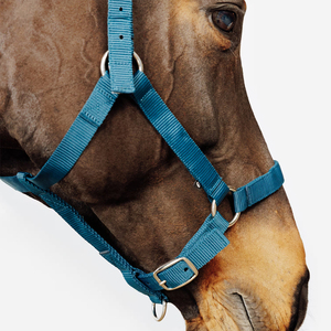 Cabestro para Caballo Transpirable de Alta Calidad, Estilo Western, Nuevo, Moderno, Cómodo y Ajustable - Product Image 5